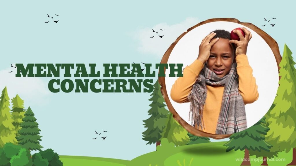 mental health concerns