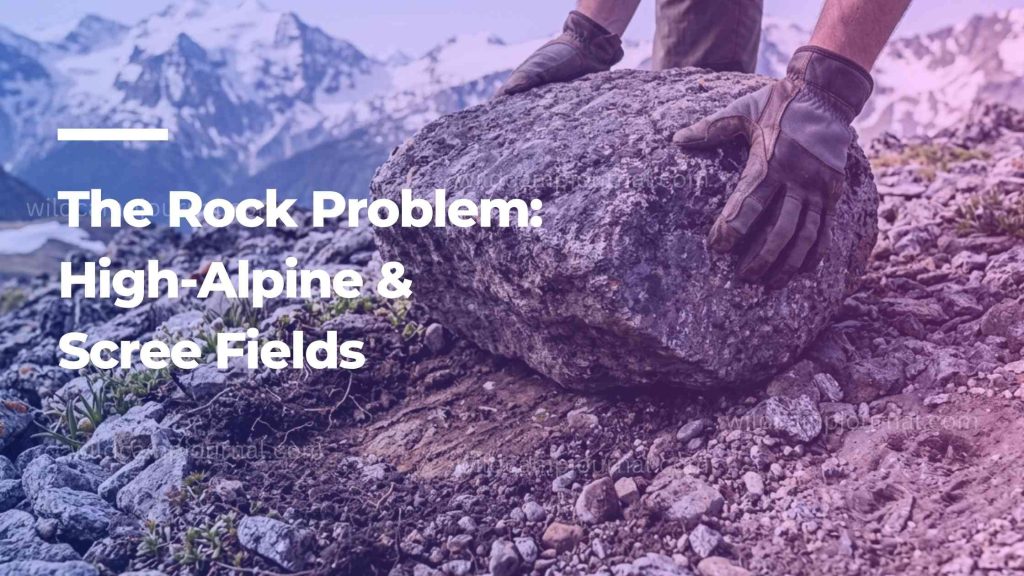 A close-up view of a large, heavy grey boulder being carefully rolled back into its natural depression in a rocky, high-alpine mountain environment.