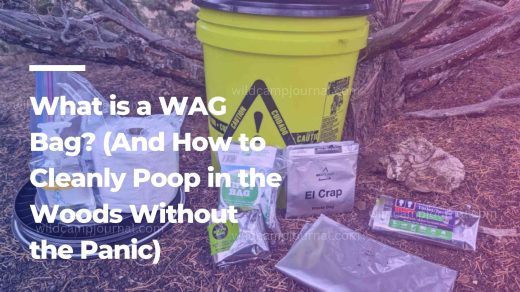 What is a WAG Bag