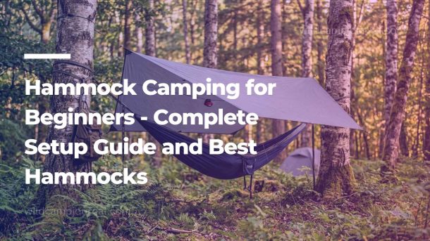 Complete hammock camping setup in woodland showing navy blue hammock between birch trees with grey tarp above and backpack hanging from tree strap