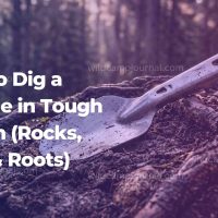 how to dig a cathole - an ultralight metal backpacking trowel resting on a rugged patch of forest soil mixed with exposed pine tree roots and small rocks.