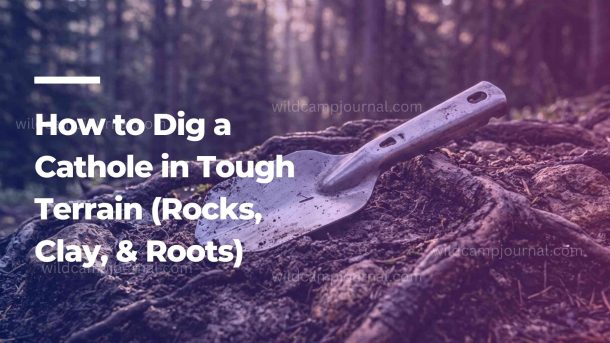 how to dig a cathole - an ultralight metal backpacking trowel resting on a rugged patch of forest soil mixed with exposed pine tree roots and small rocks.